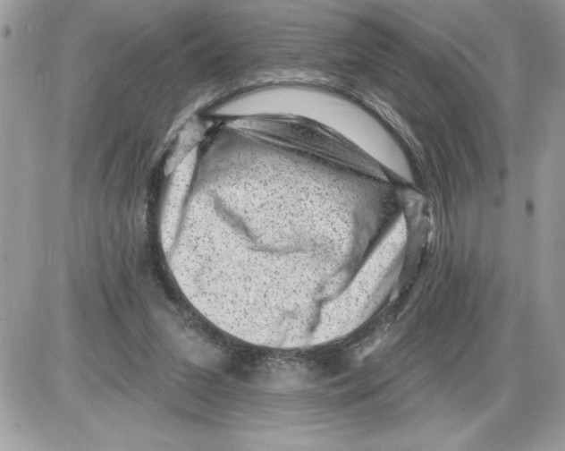 X0000085800207200704131929