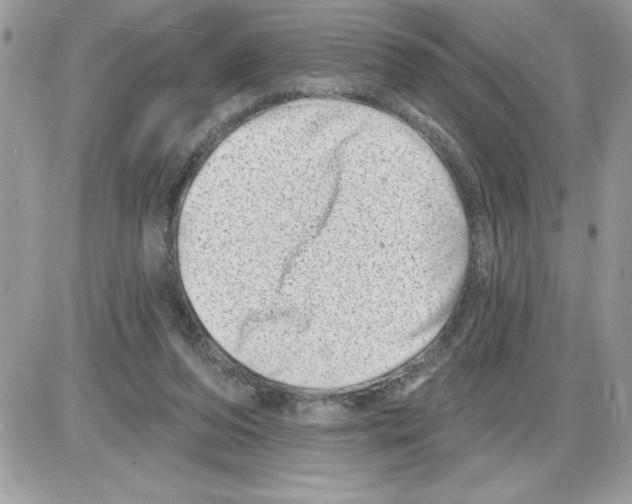 X0000085800208200704131929