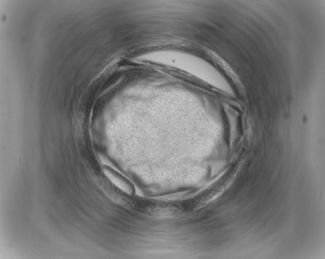 X0000085800209200704131929