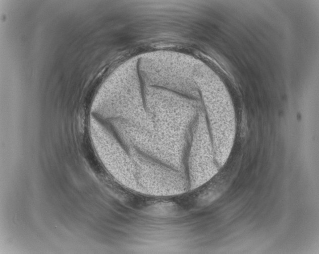 X0000085800210200704131929