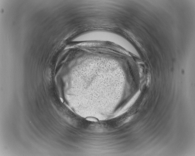 X0000085800211200704131929