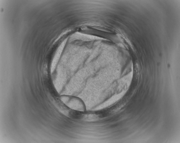 X0000085800212200704131929