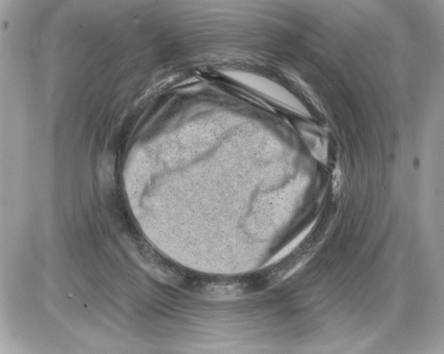 X0000085800213200704131929