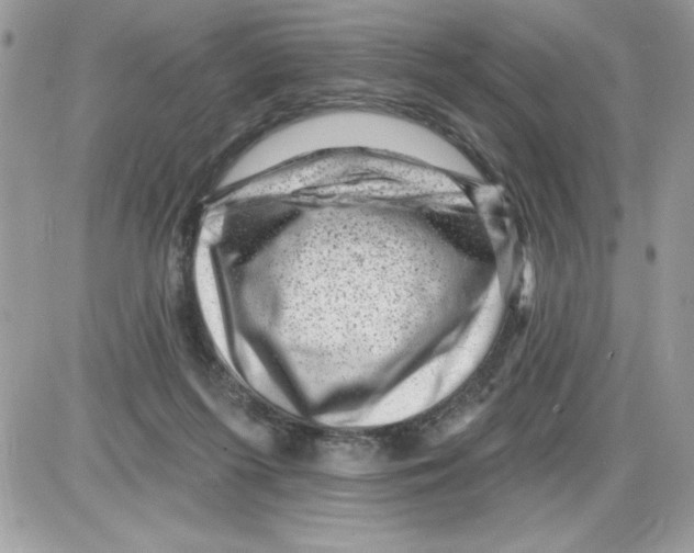 X0000085800215200704131929