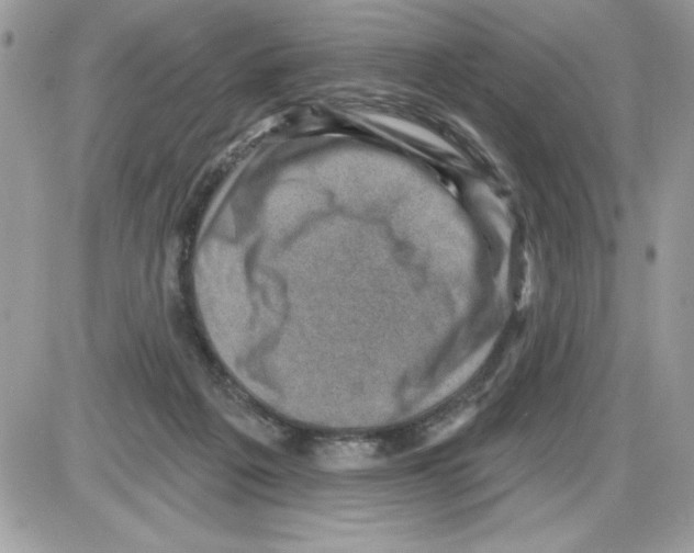 X0000085800217200704131929