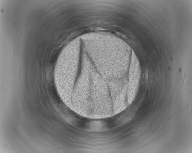 X0000085800218200704131929