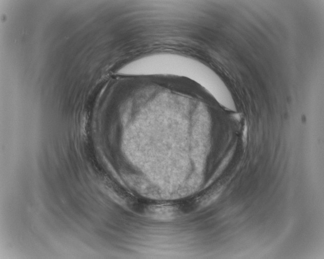 X0000085800219200704131929