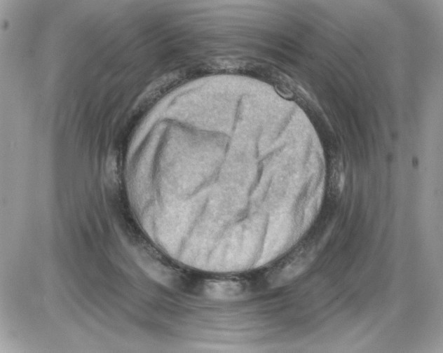 X0000085800220200704131929