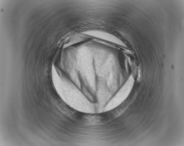 X0000085800221200704131929