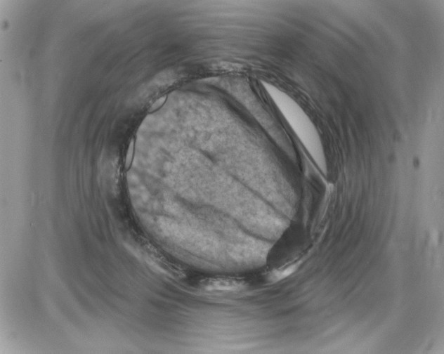 X0000085800223200704131929