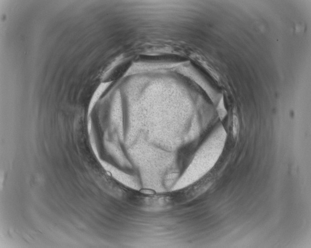 X0000085800225200704131929