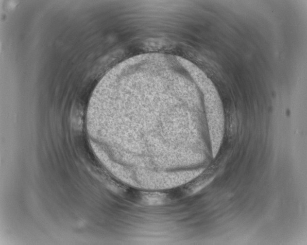 X0000085800226200704131929