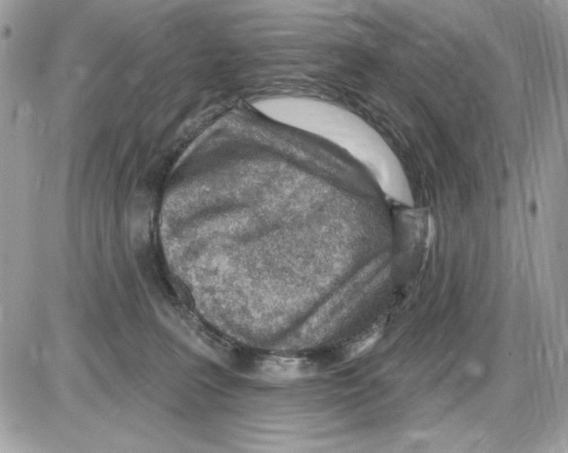 X0000085800227200704131929