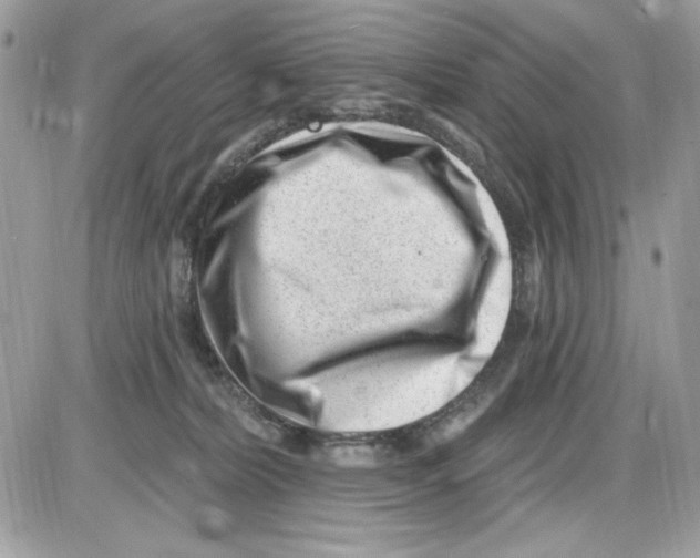 X0000085800228200704131929