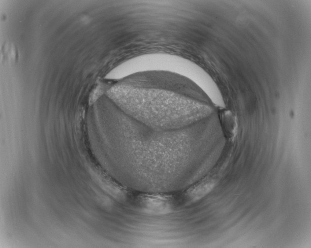 X0000085800229200704131929