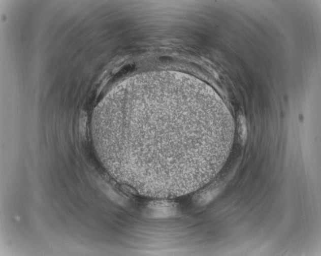 X0000085800231200704131929