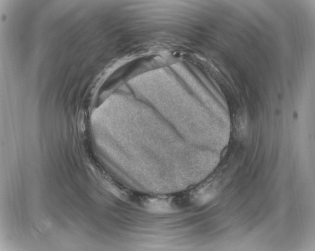 X0000085800232200704131929