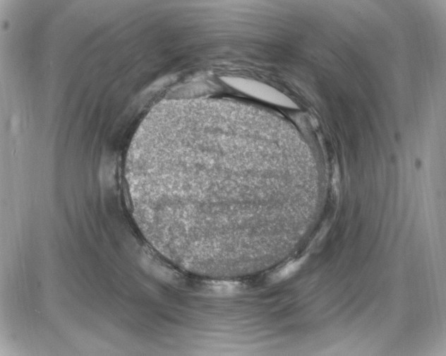 X0000085800233200704131929