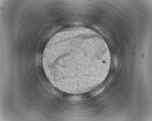 X0000085800236200704131929