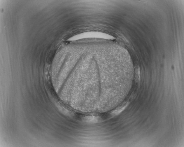 X0000085800237200704131929