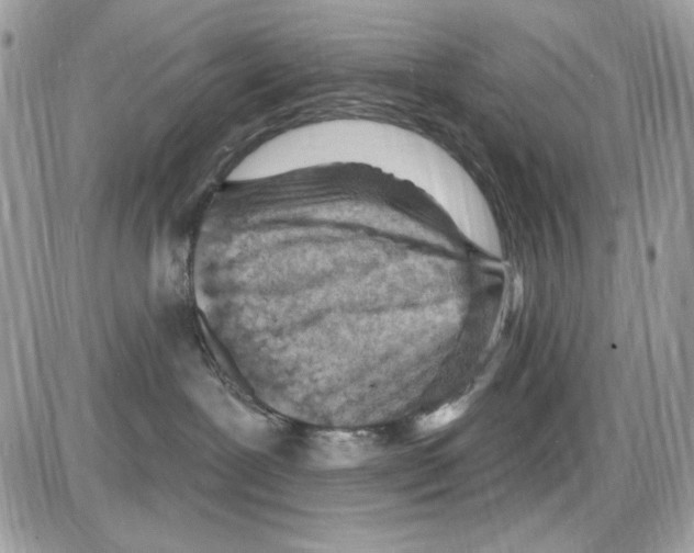 X0000085800239200704131929