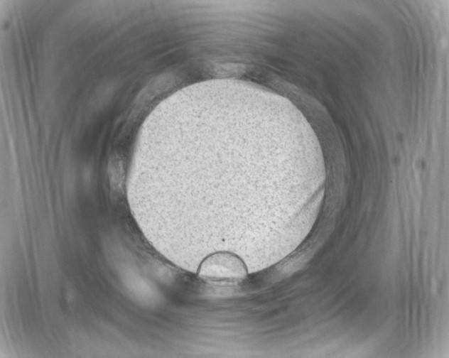 X0000085800240200704131929