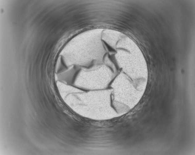 X0000085800241200704131928