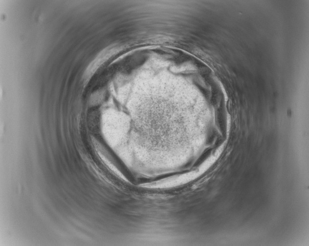 X0000085800242200704131928