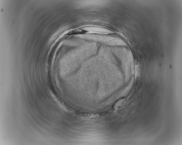 X0000085800243200704131928