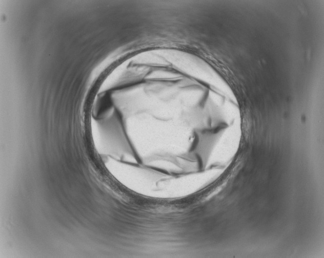 X0000085800246200704131928