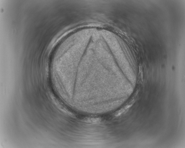 X0000085800247200704131928