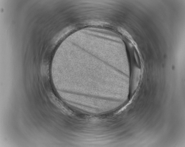 X0000085800249200704131928