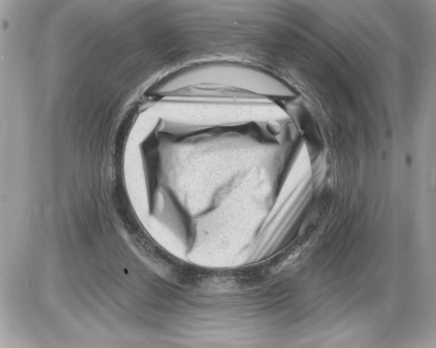 X0000085800252200704131928