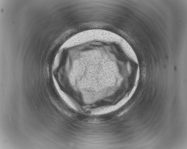 X0000085800254200704131928