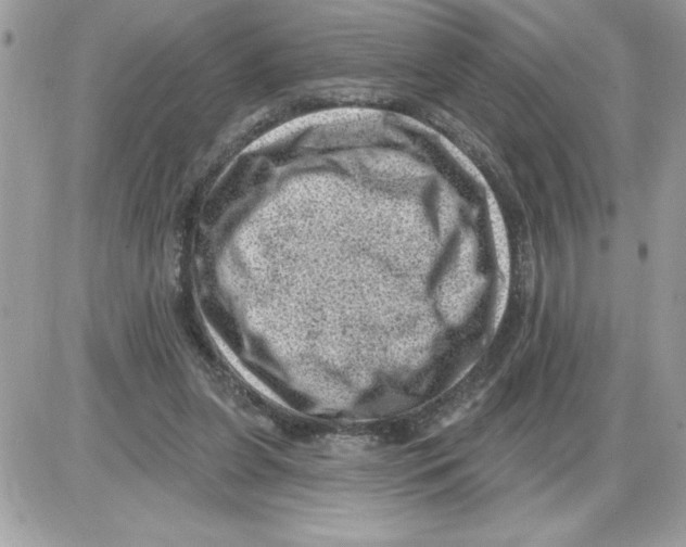 X0000085800255200704131928