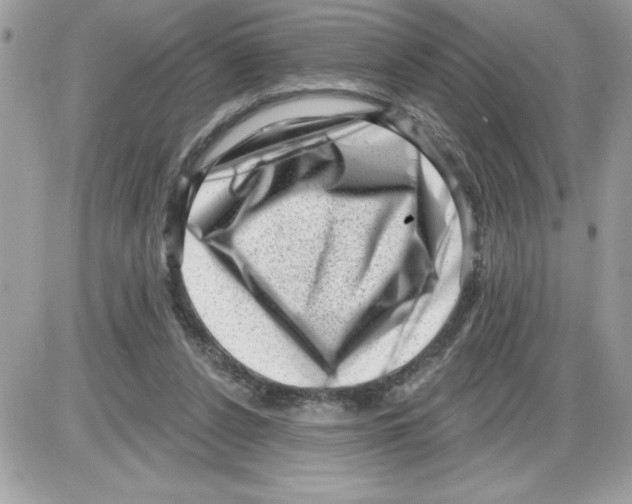 X0000085800256200704131928