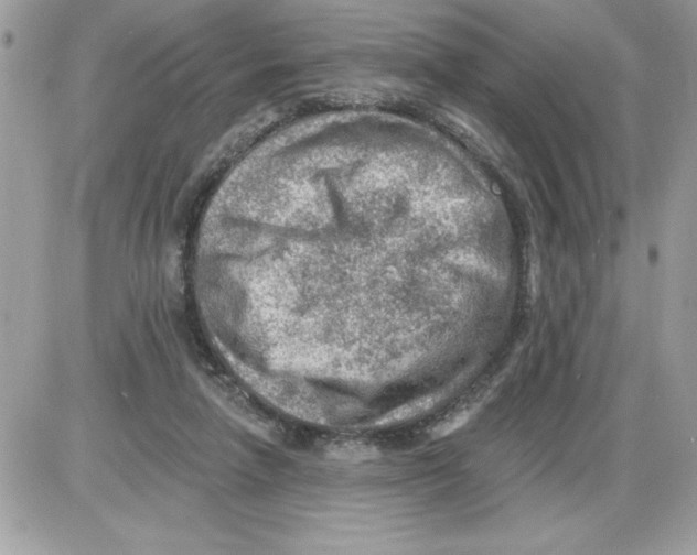 X0000085800258200704131928