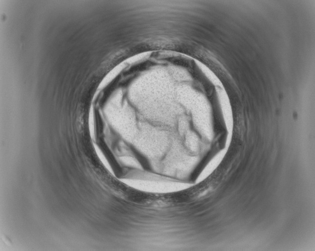 X0000085800259200704131928