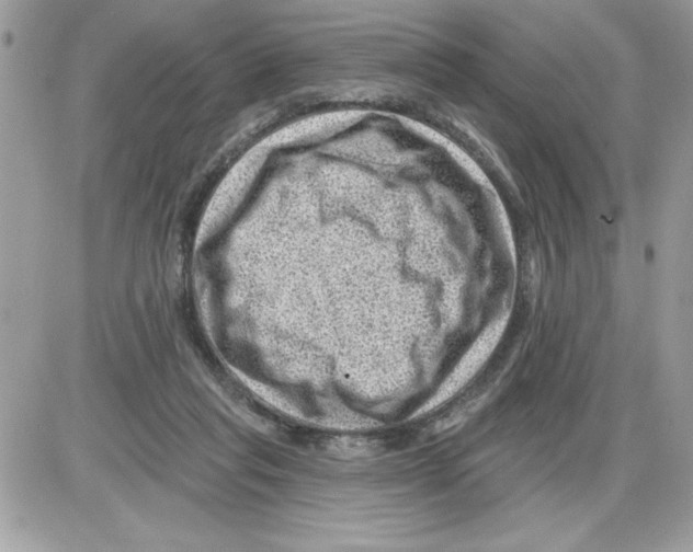 X0000085800261200704131928