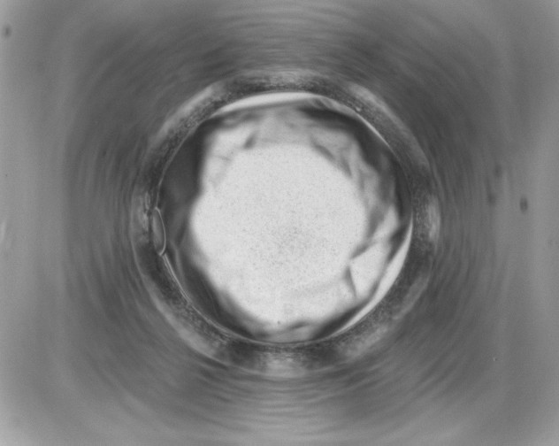 X0000085800264200704131928