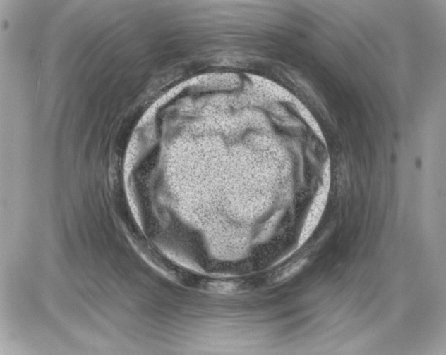 X0000085800265200704131928