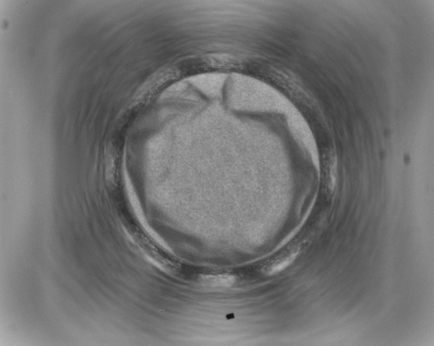 X0000085800266200704131928