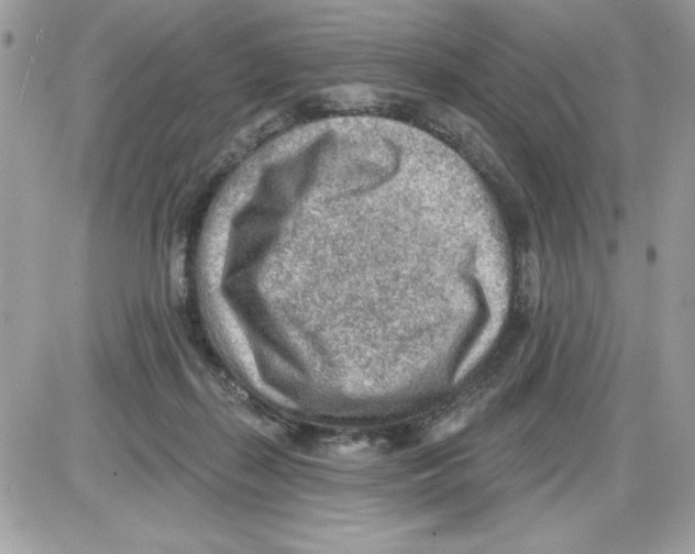 X0000085800267200704131928