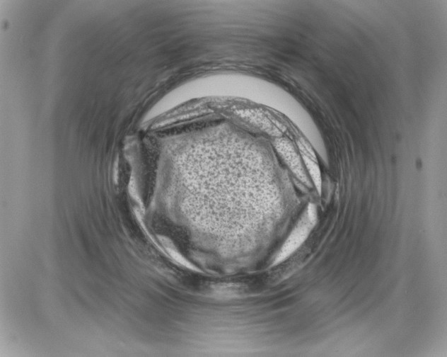 X0000085800268200704131928