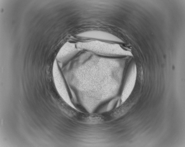 X0000085800270200704131928