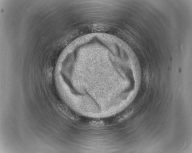 X0000085800271200704131928