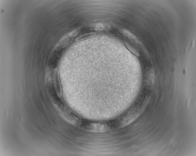 X0000085800272200704131928