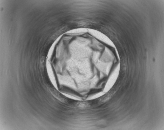 X0000085800275200704131929