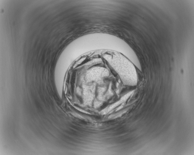 X0000085800276200704131929