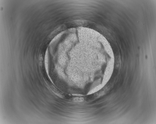 X0000085800279200704131929